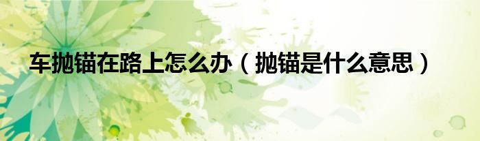 车抛锚在路上怎么办（抛锚是什么意思）