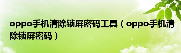 oppo手机清除锁屏密码工具（oppo手机清除锁屏密码）