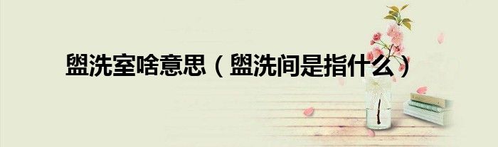 盥洗室啥意思（盥洗间是指什么）