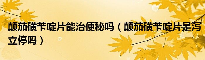 颠茄磺苄啶片能治便秘吗（颠茄磺苄啶片是泻立停吗）