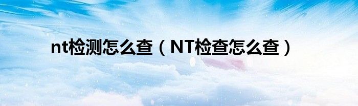 nt检测怎么查（NT检查怎么查）