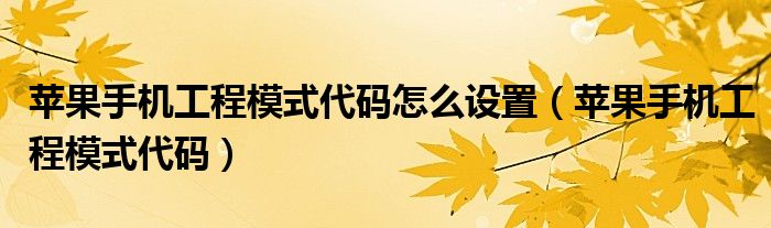 苹果手机工程模式代码怎么设置（苹果手机工程模式代码）