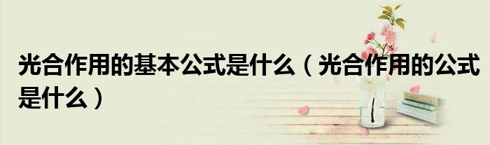 光合作用的基本公式是什么（光合作用的公式是什么）