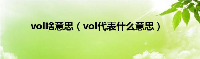 vol啥意思（vol代表什么意思）