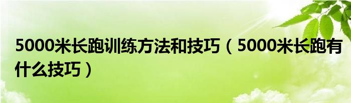 5000米长跑训练方法和技巧（5000米长跑有什么技巧）
