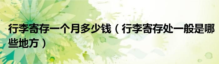 行李寄存一个月多少钱（行李寄存处一般是哪些地方）
