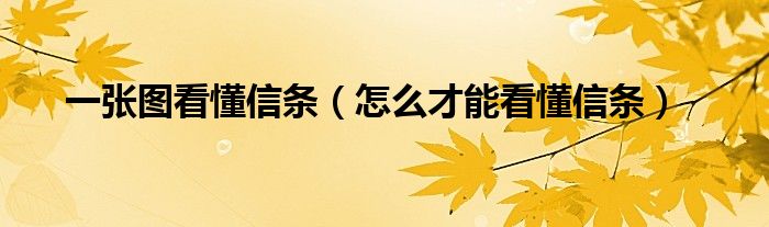 一张图看懂信条（怎么才能看懂信条）