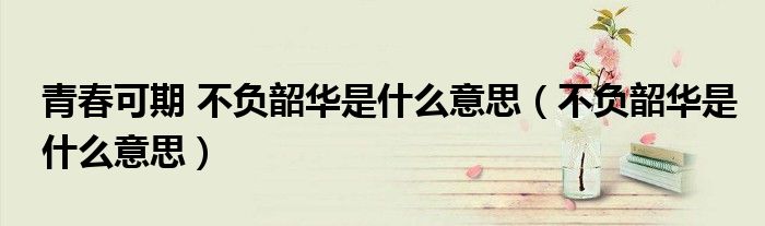 青春可期 不负韶华是什么意思（不负韶华是什么意思）