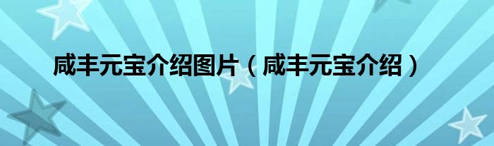 咸丰元宝介绍图片（咸丰元宝介绍）