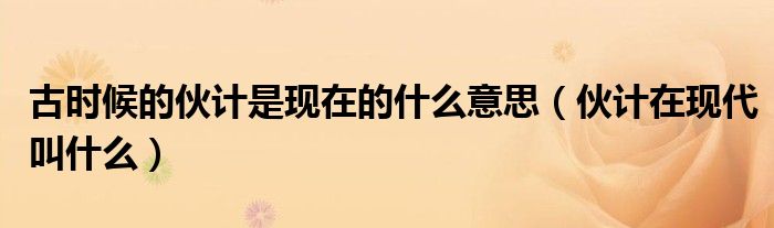 古时候的伙计是现在的什么意思（伙计在现代叫什么）