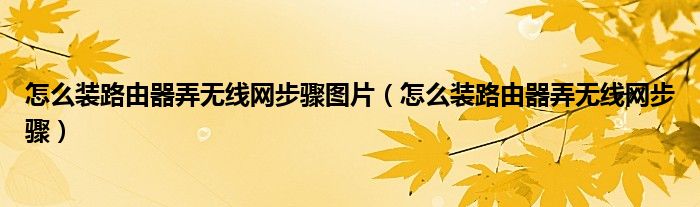 怎么装路由器弄无线网步骤图片（怎么装路由器弄无线网步骤）