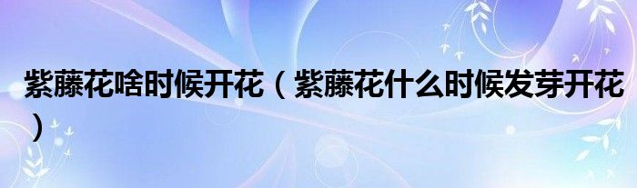 紫藤花啥时候开花（紫藤花什么时候发芽开花）