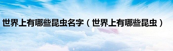 世界上有哪些昆虫名字（世界上有哪些昆虫）