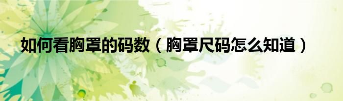 如何看胸罩的码数（胸罩尺码怎么知道）