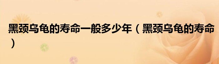 黑颈乌龟的寿命一般多少年（黑颈乌龟的寿命）