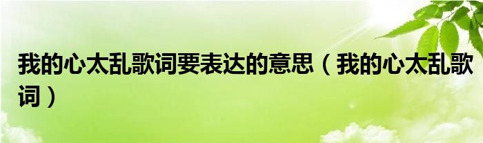 我的心太乱歌词要表达的意思（我的心太乱歌词）