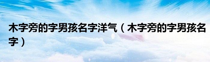 木字旁的字男孩名字洋气（木字旁的字男孩名字）