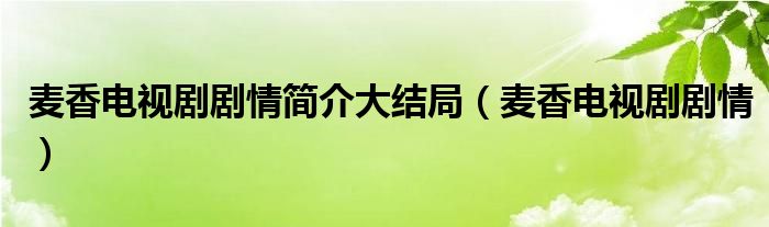 麦香电视剧剧情简介大结局（麦香电视剧剧情）