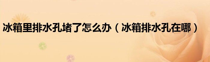 冰箱里排水孔堵了怎么办（冰箱排水孔在哪）