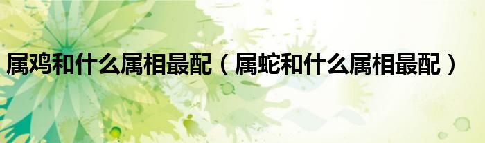 属鸡和什么属相最配（属蛇和什么属相最配）
