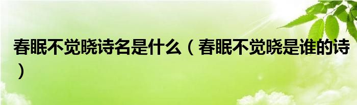 春眠不觉晓诗名是什么（春眠不觉晓是谁的诗）