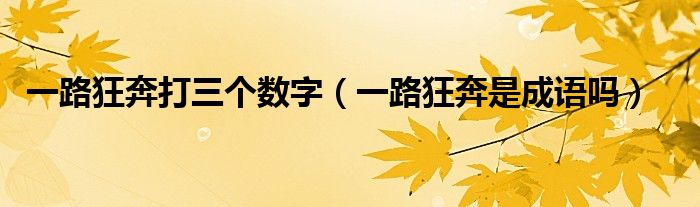 一路狂奔打三个数字（一路狂奔是成语吗）