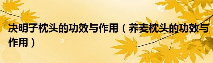 决明子枕头的功效与作用（荞麦枕头的功效与作用）