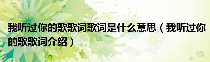我听过你的歌歌词歌词是什么意思（我听过你的歌歌词介绍）