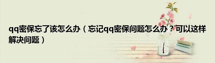 qq密保忘了该怎么办（忘记qq密保问题怎么办？可以这样解决问题）