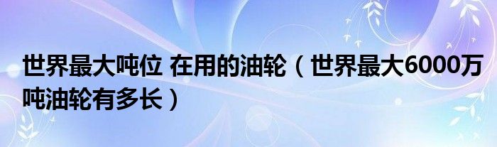 世界最大吨位 在用的油轮（世界最大6000万吨油轮有多长）