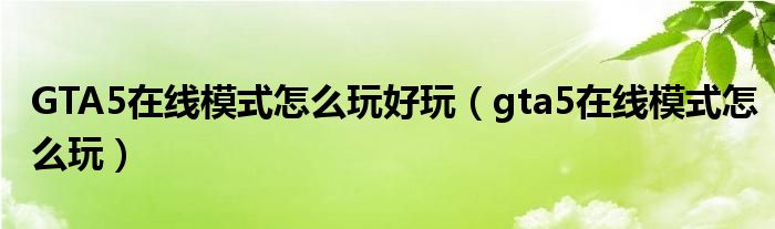 GTA5在线模式怎么玩好玩（gta5在线模式怎么玩）