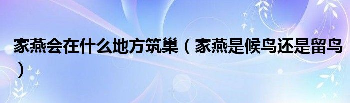 家燕会在什么地方筑巢（家燕是候鸟还是留鸟）