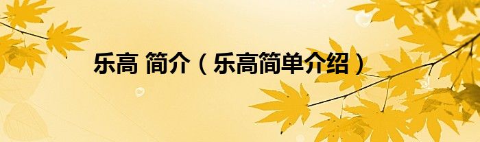 乐高 简介（乐高简单介绍）