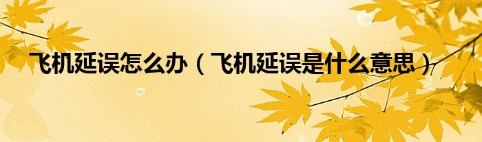 飞机延误怎么办（飞机延误是什么意思）