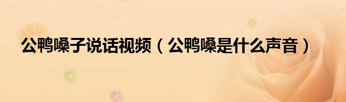 公鸭嗓子说话视频（公鸭嗓是什么声音）