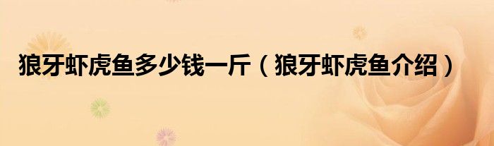 狼牙虾虎鱼多少钱一斤（狼牙虾虎鱼介绍）