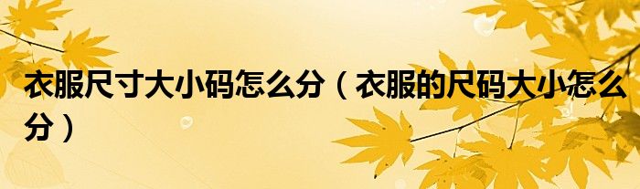 衣服尺寸大小码怎么分（衣服的尺码大小怎么分）