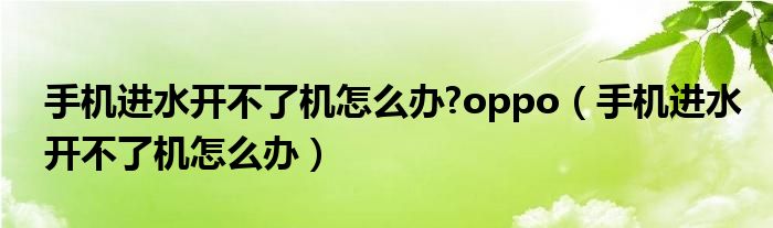 手机进水开不了机怎么办?oppo（手机进水开不了机怎么办）