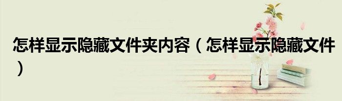 怎样显示隐藏文件夹内容（怎样显示隐藏文件）