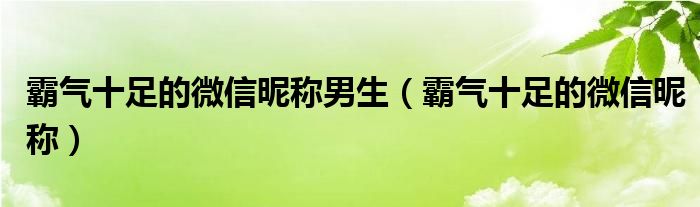 霸气十足的微信昵称男生（霸气十足的微信昵称）