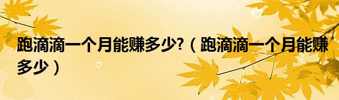 跑滴滴一个月能赚多少?（跑滴滴一个月能赚多少）