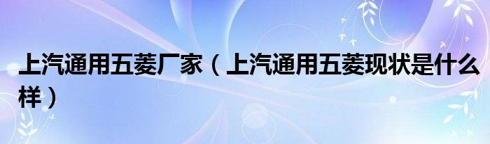 上汽通用五菱厂家（上汽通用五菱现状是什么样）