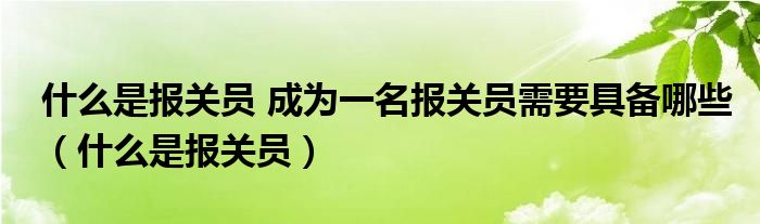 什么是报关员 成为一名报关员需要具备哪些（什么是报关员）