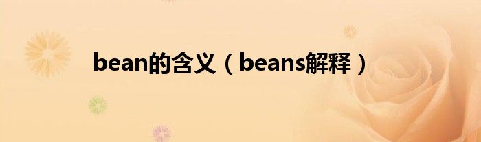 bean的含义（beans解释）