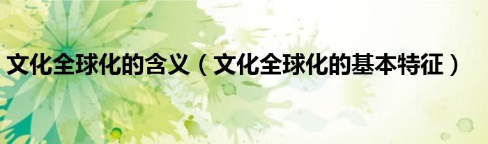 文化全球化的含义（文化全球化的基本特征）