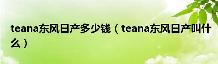 teana东风日产多少钱（teana东风日产叫什么）