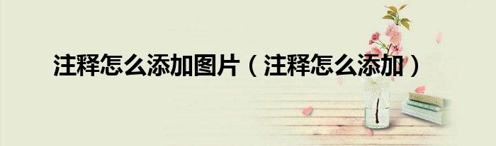 注释怎么添加图片（注释怎么添加）