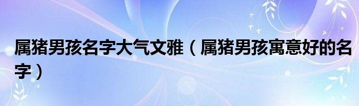 属猪男孩名字大气文雅（属猪男孩寓意好的名字）
