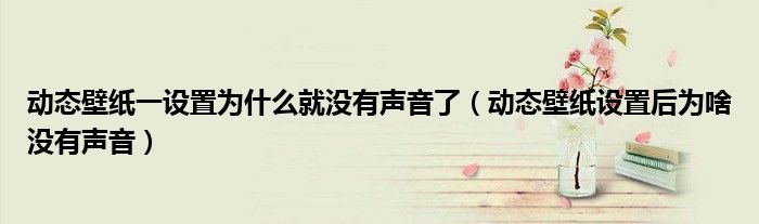 动态壁纸一设置为什么就没有声音了（动态壁纸设置后为啥没有声音）
