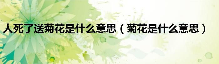 人死了送菊花是什么意思（菊花是什么意思）